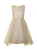 Champagne Lace Organza Knee Length Adorable Flower Girl Dress